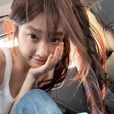 聪明的鸭子